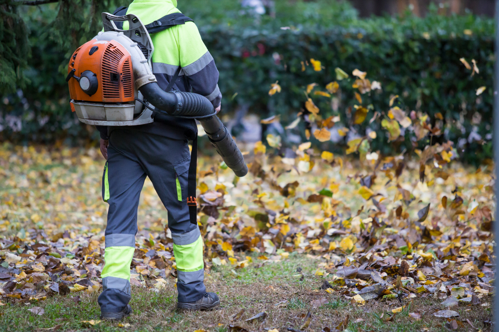 Tout savoir sur le contrat d'entretien des espaces verts